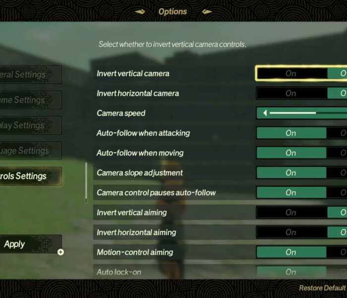 Hyrule Warriors: Age of Imprisonment – Default Options: General Settings, Volume, Display, Controls