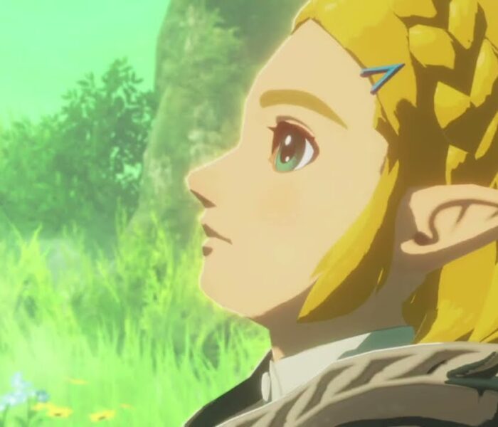 Hyrule Warriors: Age of Imprisonment – Prologue: Zelda “The Imprisoned War” Formal Title Cutscene