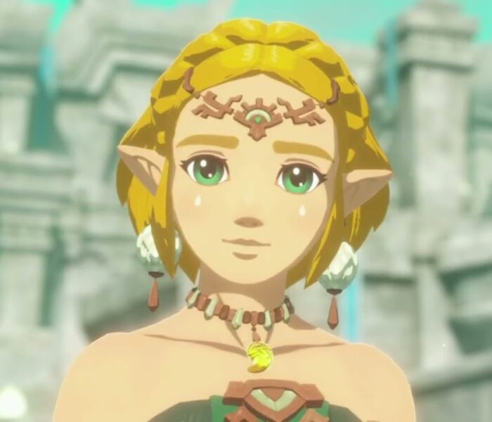 Hyrule Warriors: Age of Imprisonment – A Time For Review: Zelda Talks with Queen Sonia Cutscene