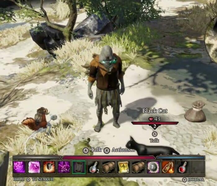 Divinity Original Sin 2 DE – Chapter 2: Wits Message: Dig Dirt Pile Leather Armor, Darling Bow | NS2
