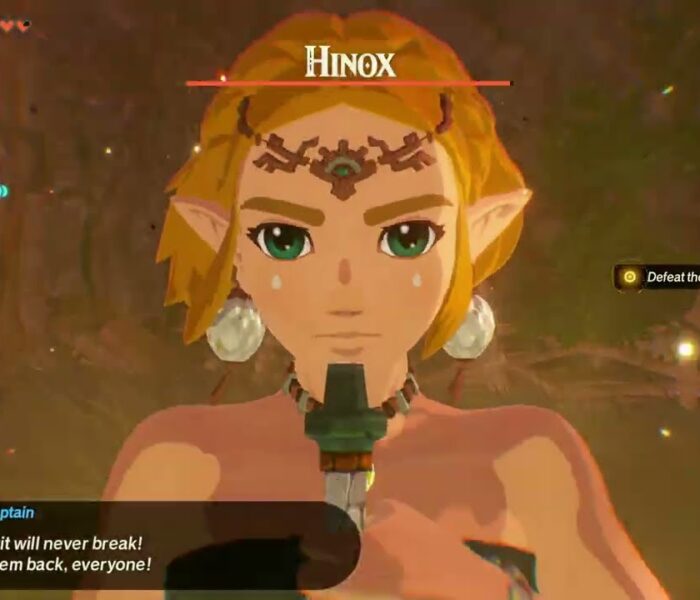 Hyrule Warriors: Age of Imprisonment – Striking North: Rescue Hylian Captains & Head North | Lynel