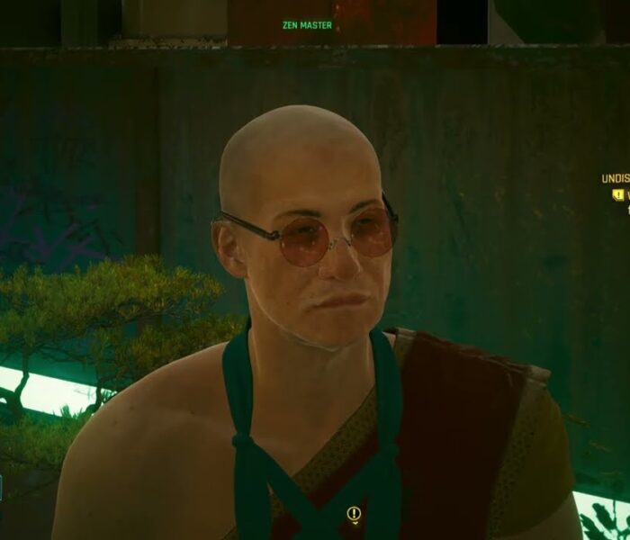 Cyberpunk 2077 – Stairway To Heaven: Talk To The Zen Master: The Water Element Braindance | NS2
