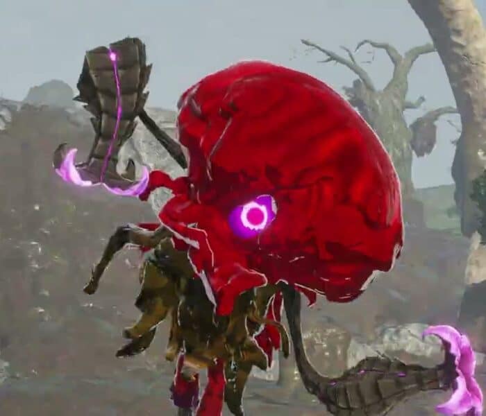 Hyrule Warriors: Age of Imprisonment – Lanaryu Defiled: Controlling Qia | Defeat Grimtorok Gameplay