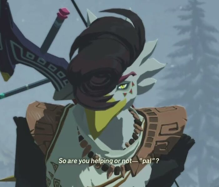 Hyrule Warriors: Age of Imprisonment – Shadows In The Snow: Raphica, Rito Elder Intro Cutscene
