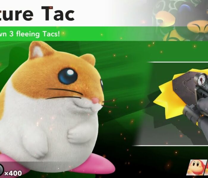 Kirby Air Riders – Road Trip: Grasslands Stage 1: Capture Tac: Take Down 3 Fleeing Tacs 3/3 Gameplay