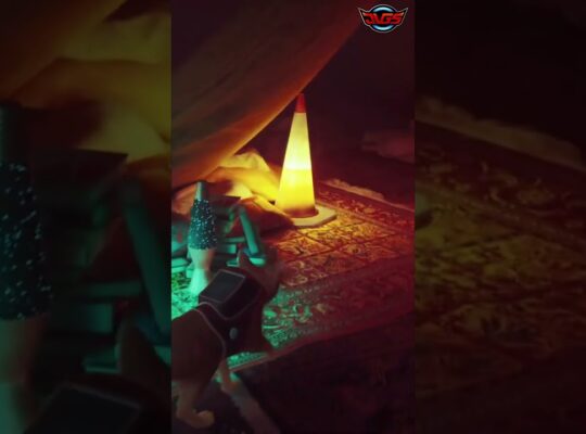 This Cat’s Urban Exploration Adventure Will MESMERIZE You! – Stray #shorts