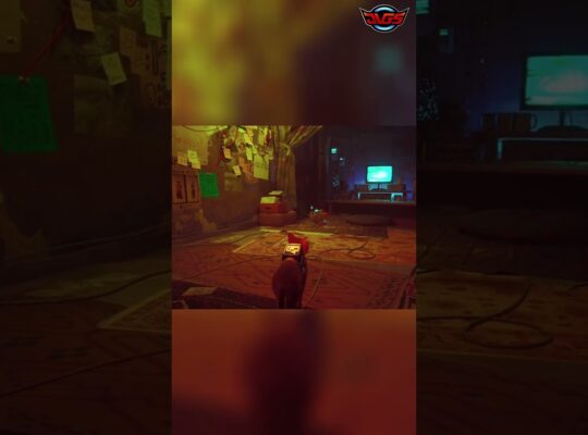 Curious Cat EXPLORES New Room, Discovers Computer! #shorts