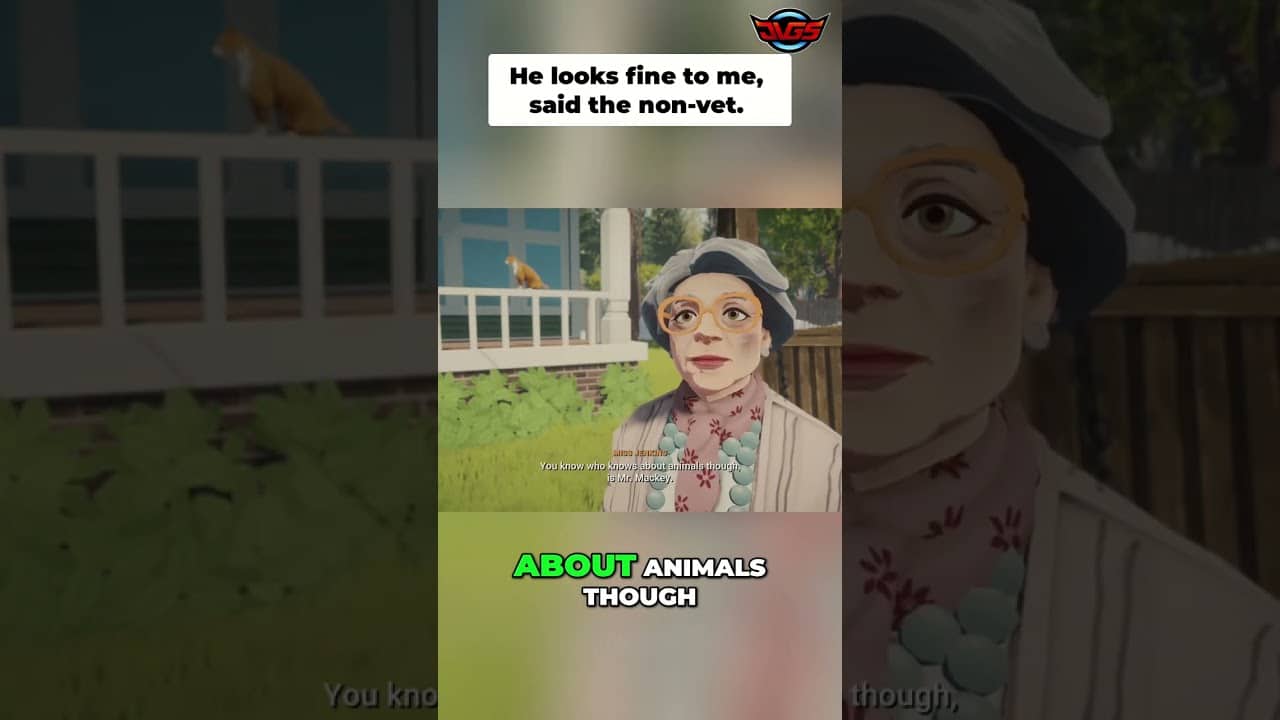 Vet’s Cat Mystery: Is Mortimer Okay? Find Out Now! #shorts