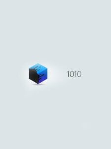 1010