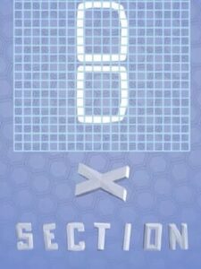 XSection