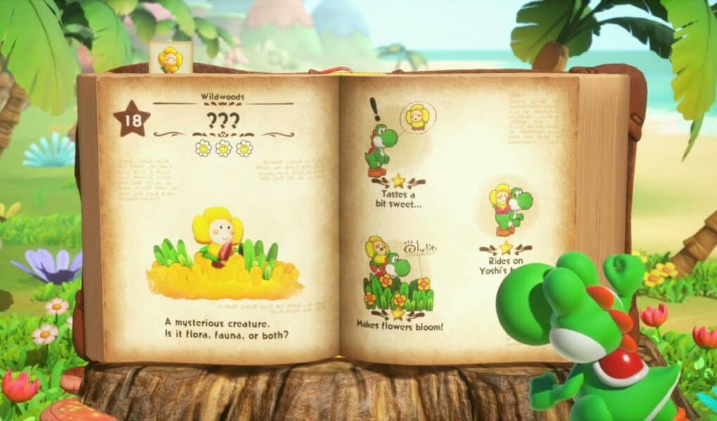 Yoshi and The Mysterious Book – Chapter 1 The Wildwoods: Return To Mr. E Name Creature Crazee Dayzee