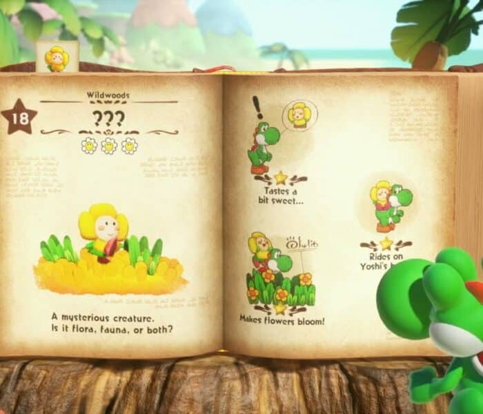 Yoshi and The Mysterious Book – Chapter 1 The Wildwoods: Return To Mr. E Name Creature Crazee Dayzee