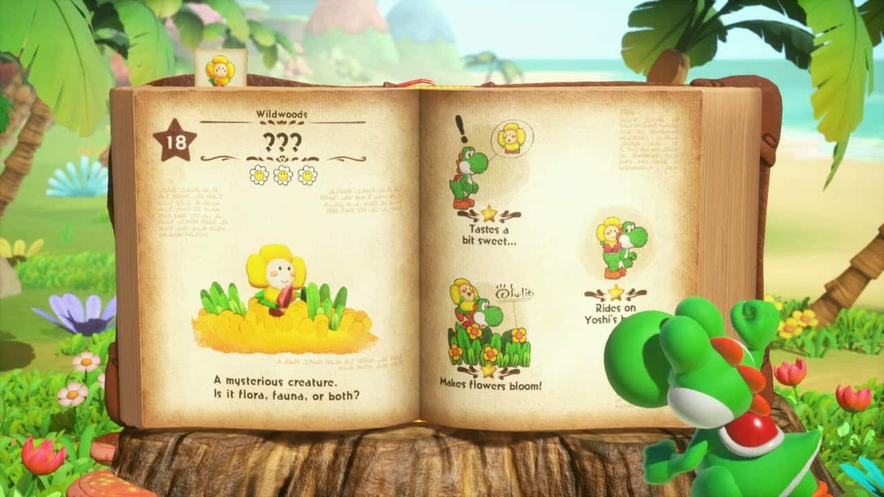 Yoshi and The Mysterious Book – Chapter 1 The Wildwoods: Return To Mr. E Name Creature Crazee Dayzee
