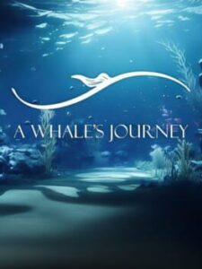A Whale’s Journey