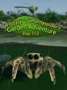 A little Jumpingspider’s Garden Adventure (Day 1+2)