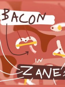 Bacon in Zane