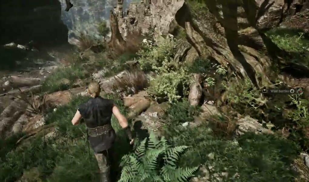 Gothic Remake – Chapter 1 Follow Diego: Old Sword, Club and Drax Hunter’s Knife Locations