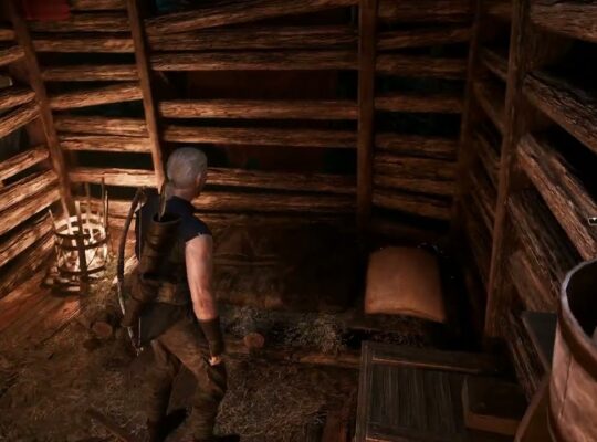 Gothic Remake – Chapter 1 Old Camp: Free Bed (Past Time/Sleep) Supply Chest (Ham) Near Guy’s Hut