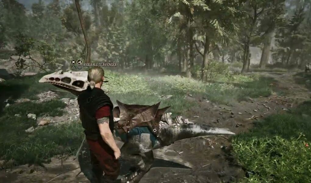 Gothic Remake – Chapter 2 The Focus Stone: Reach The Ocean Cliff From Old Camp | Ridable Scavenger