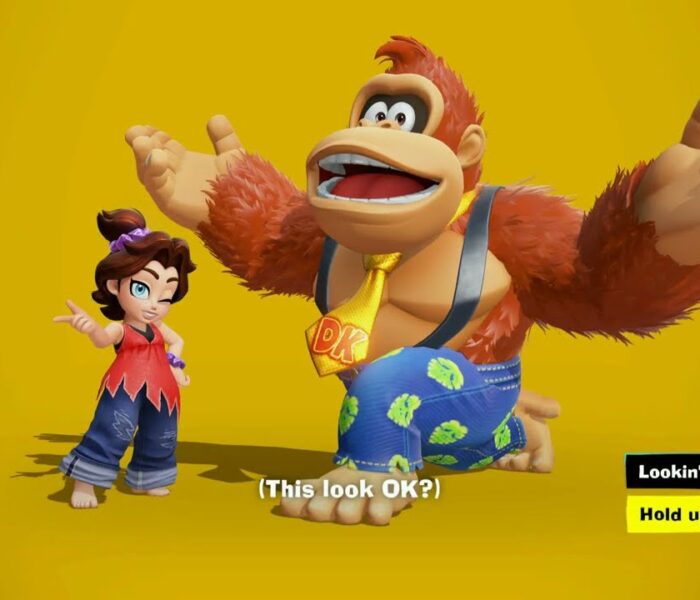 Donkey Kong Bananza – Freezer Layer Sublayer 502: DK and Pauline Dance | Buy Mint Freezer Jacket