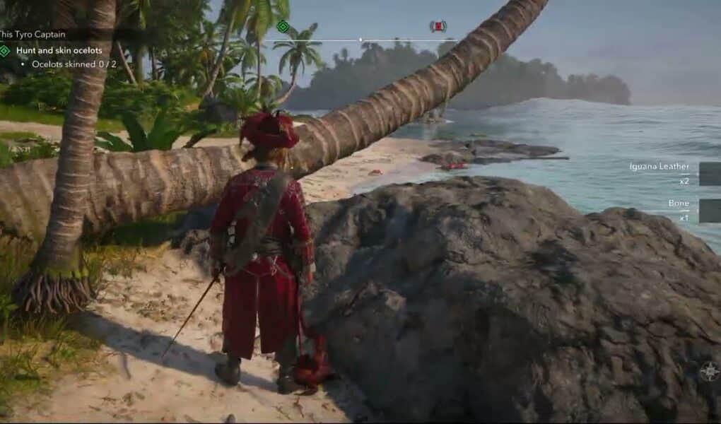 Assassin’s Creed Black Flag Resynced – This Tyro Captain: Investigate Camp 4/4 | Skin a Iguana