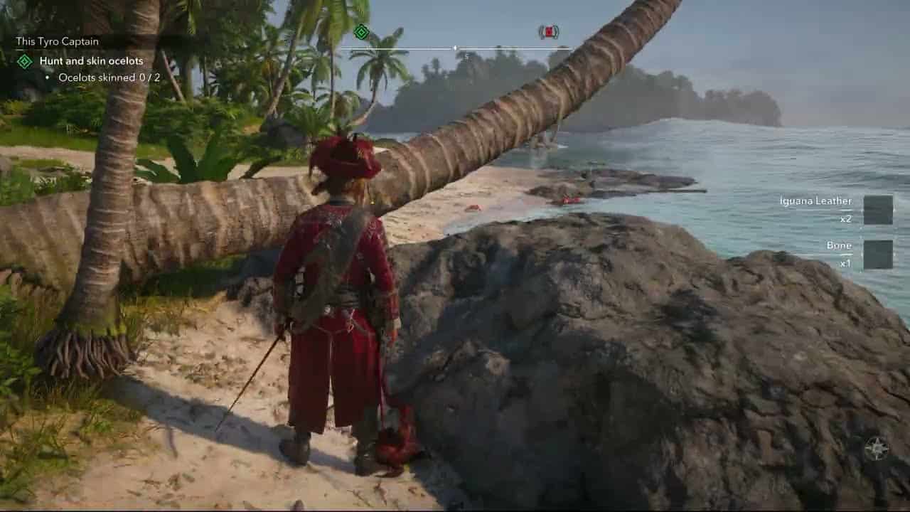Assassin’s Creed Black Flag Resynced – This Tyro Captain: Investigate Camp 4/4 | Skin a Iguana
