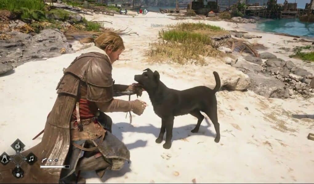 Assassin’s Creed Black Flag Resynced – Sequence 3: Nassau: Edward Kenway Pts a Dog | PS5 Pro