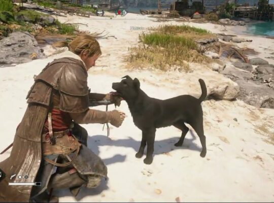 Assassin’s Creed Black Flag Resynced – Sequence 3: Nassau: Edward Kenway Pts a Dog | PS5 Pro