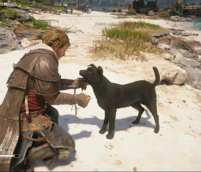 Assassin’s Creed Black Flag Resynced – Sequence 3: Nassau: Edward Kenway Pts a Dog | PS5 Pro