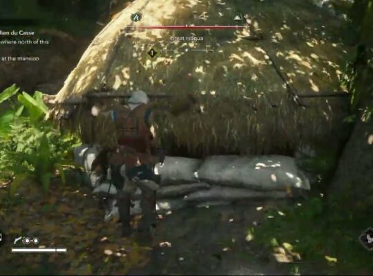 Assassin’s Creed Black Flag Resynced – A Single Madman: Reach The Manor: Jungle Combat Gameplay