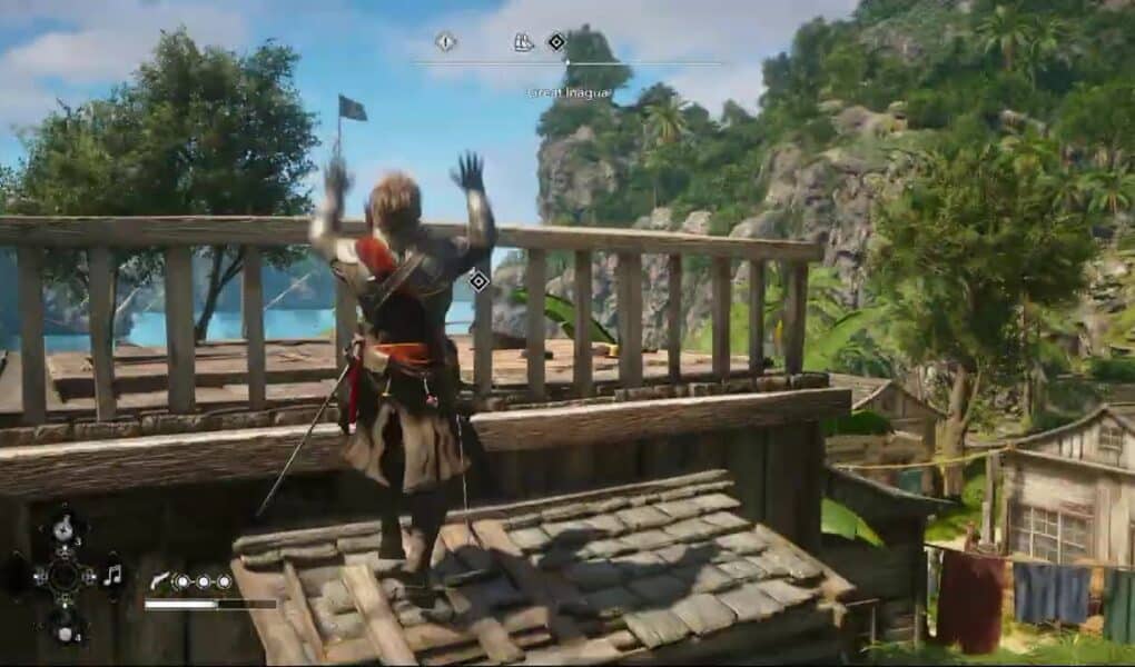 Assassin’s Creed Black Flag Resynced – Seq 4: Great Inagua: How To Get Pet “Soot The Cat” Gameplay