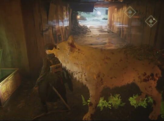 Beast of Reincarnation – Chapter 2 Toward The Reservoir: Thick Cuirass Location (Armor)