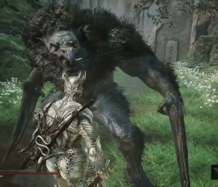 Mortal Shell 2 – Fainweald: Clear Out Corruption Around Blackridge Hamlet | Freed Grisha Pup