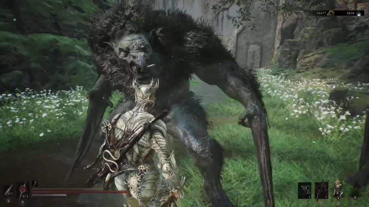 Mortal Shell 2 – Fainweald: Clear Out Corruption Around Blackridge Hamlet | Freed Grisha Pup
