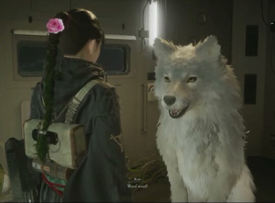 Beast of Reincarnation – Chapter 1: Kagura Awakes | Talk with Koo “Why Are You With Us?” Cutscene