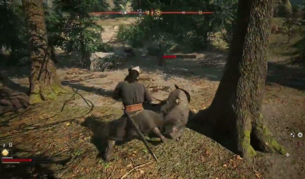 The Blood of Dawnwalker – Prologue: Fist Fight Stance: Fight Boars With Fists | Unblockable Attacks