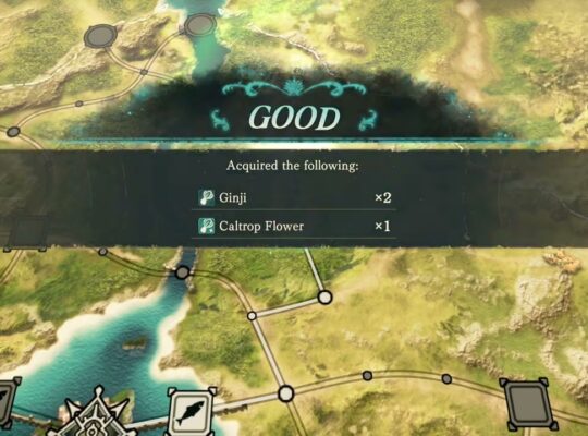 Fire Emblem: Fortune’s Weave – Part 1 Cai’s Path Chapter 4: Search Unlocked – Go To Napier Woods