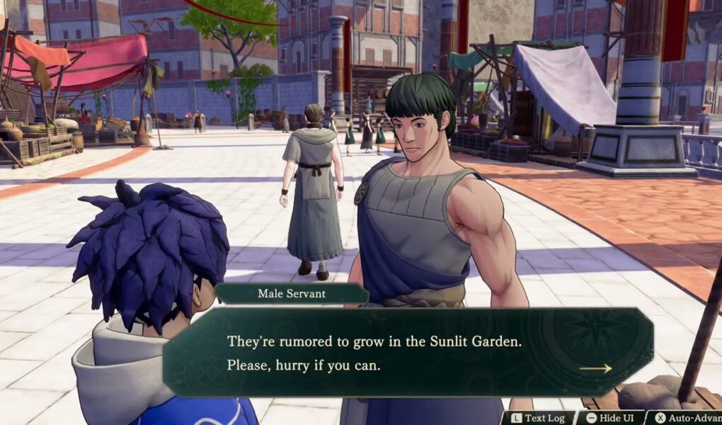 Fire Emblem: Fortune’s Weave – 1. Cai’s Path Ch 6: Turn In “Energy Nuts” Quest To Male Servant
