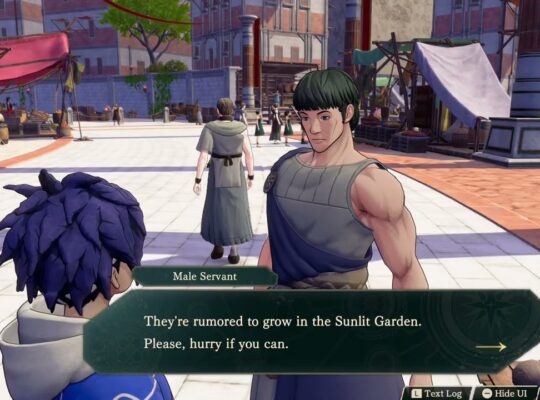 Fire Emblem: Fortune’s Weave – 1. Cai’s Path Ch 6: Turn In “Energy Nuts” Quest To Male Servant