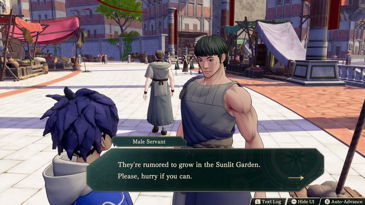 Fire Emblem: Fortune’s Weave – 1. Cai’s Path Ch 6: Turn In “Energy Nuts” Quest To Male Servant